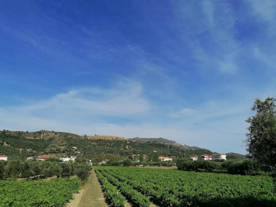 Villa Marinos *